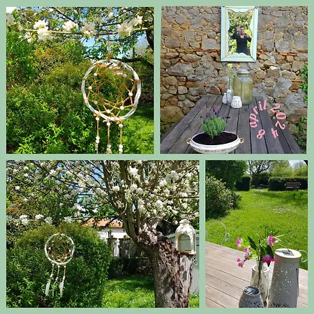 Camping Glamping The Rose Garden With Own Garden - External Shower & Toilet And Kitchen