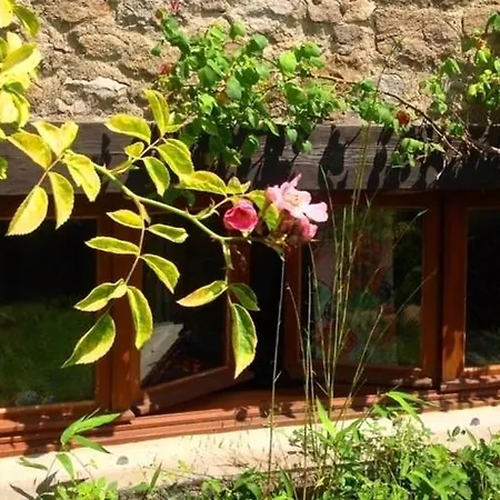 Glamping The Rose Garden With Own Garden - External Shower & Toilet And Kitchen Camping Mazières